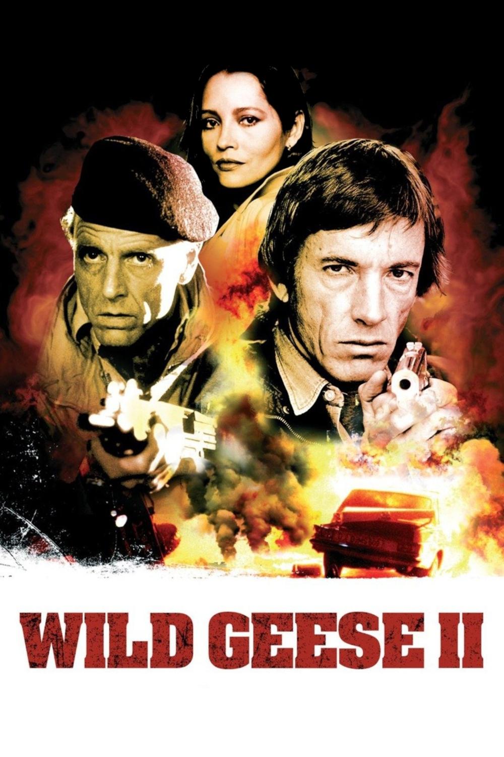 Постер Wild Geese II